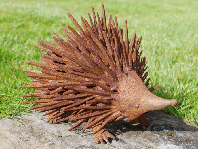 Hedgehog