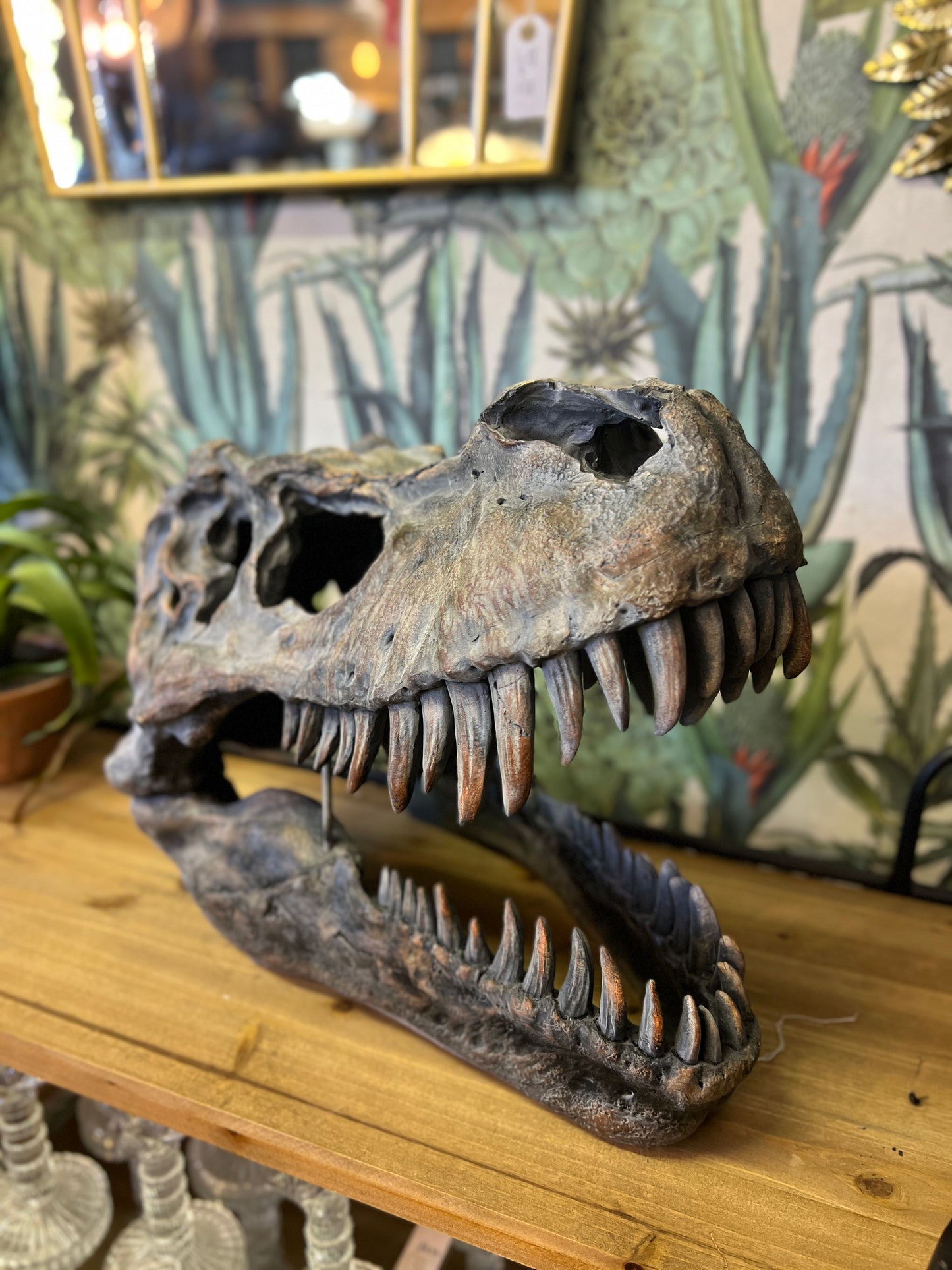 Large T-Rex Skull Wall Head