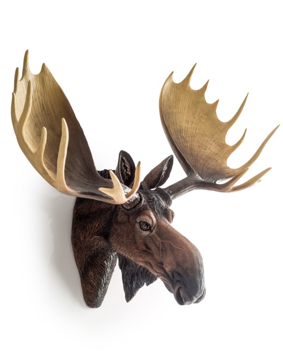 Moose Wall Head