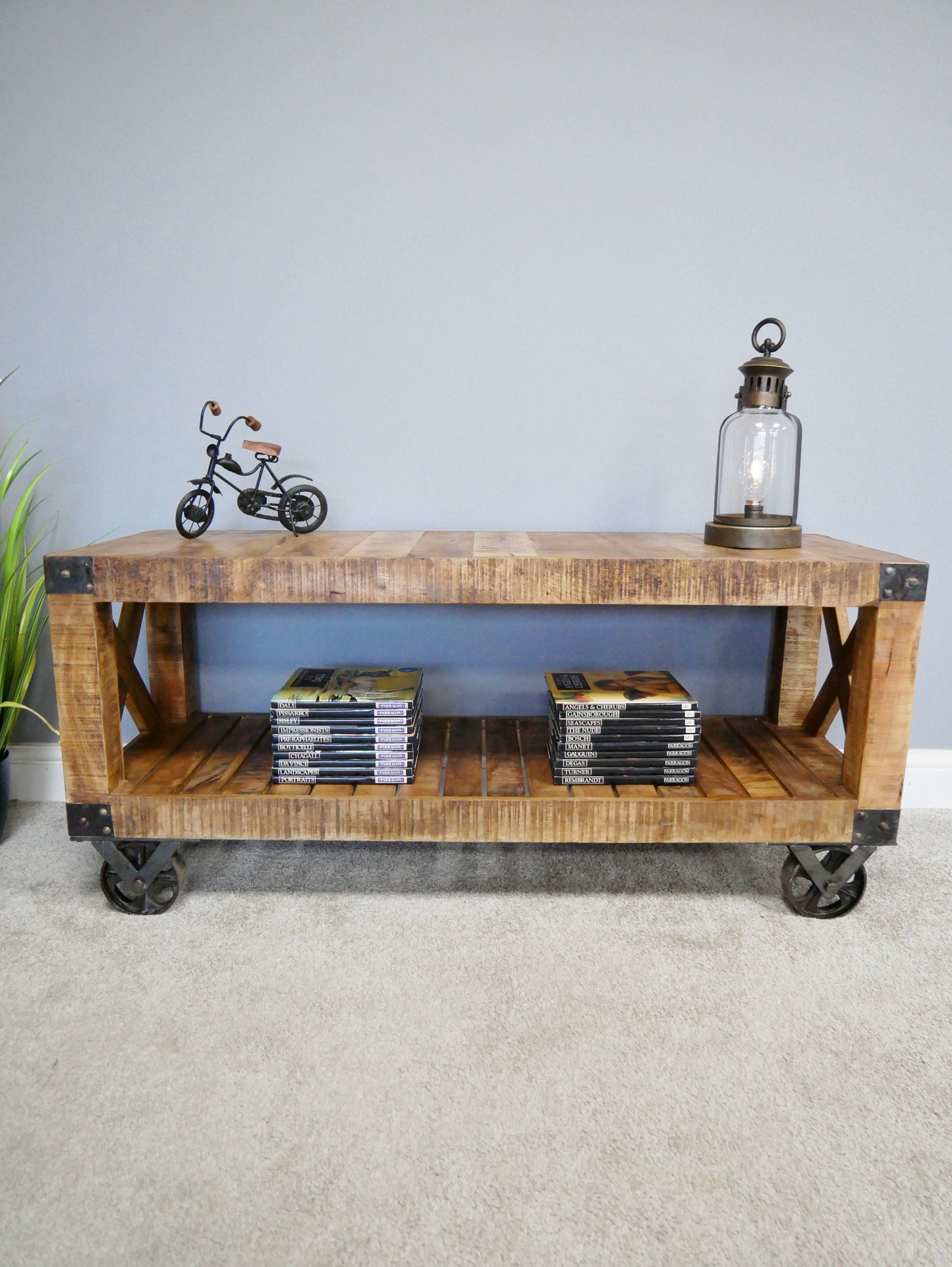 Industrial TV Cabinet - Pre Order Due February
