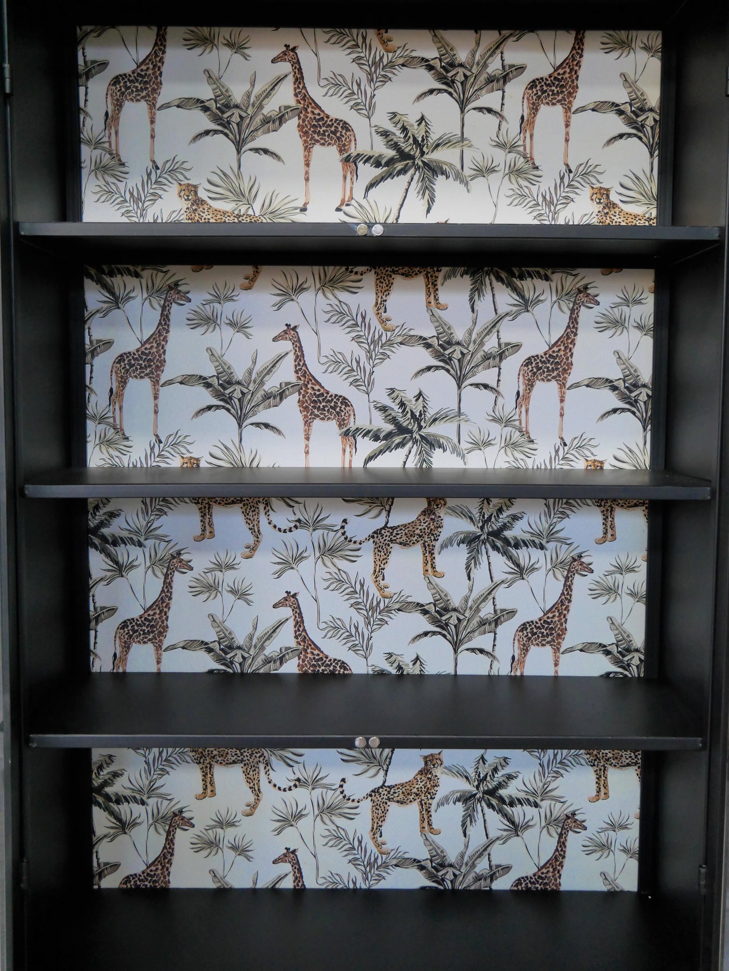 Display Cabinet