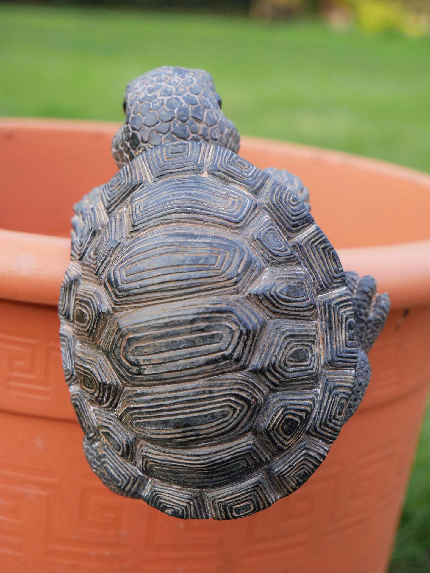 Pot Hanging Tortoise
