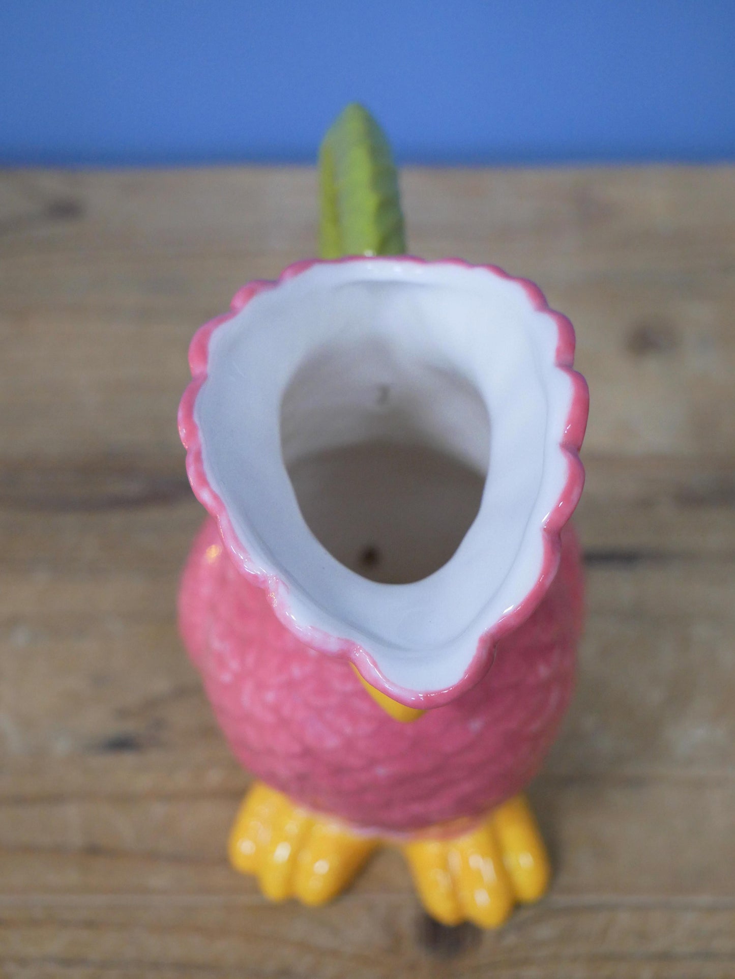Polly Parrot Jug