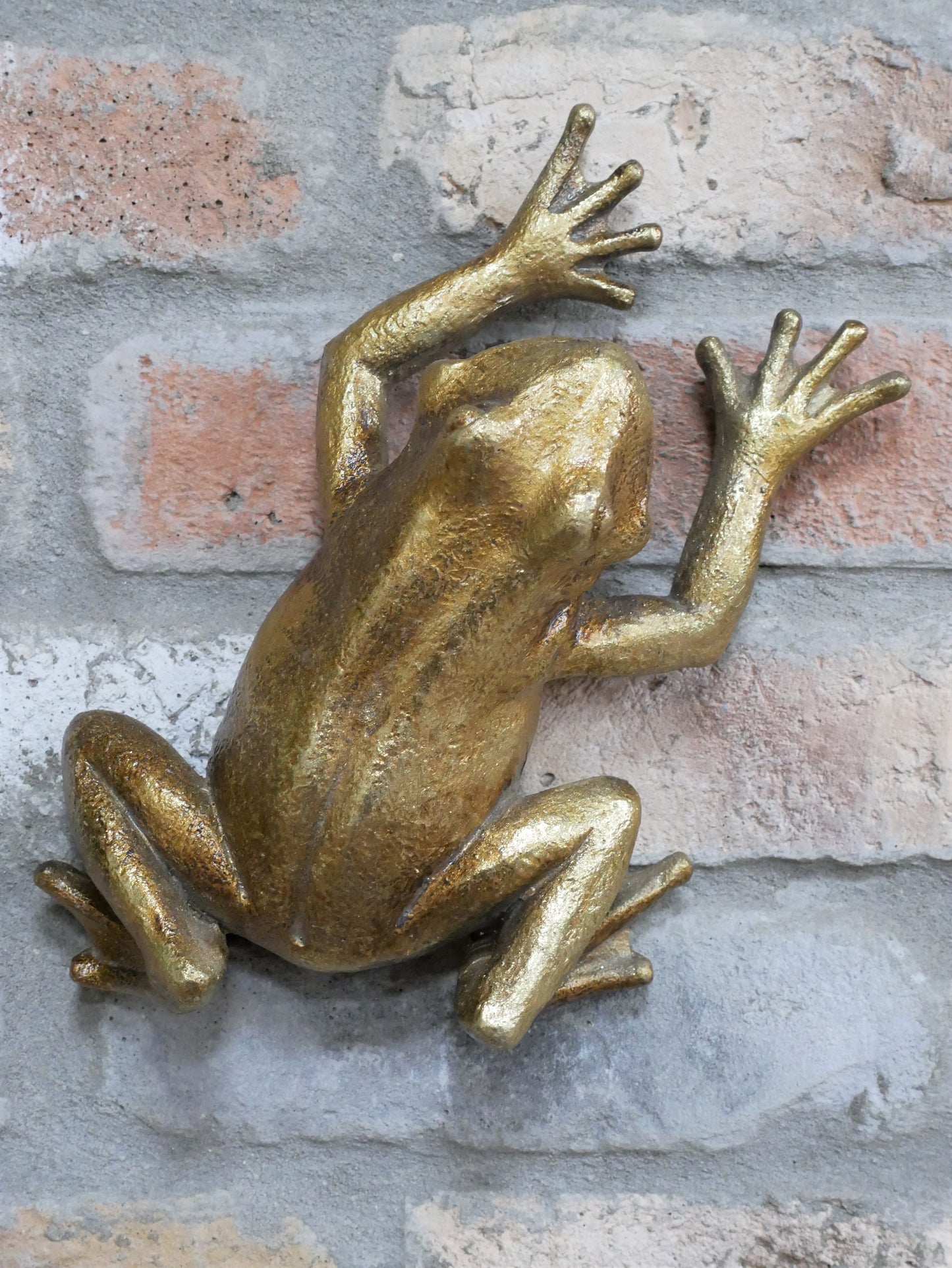 Frog Wall Decoration