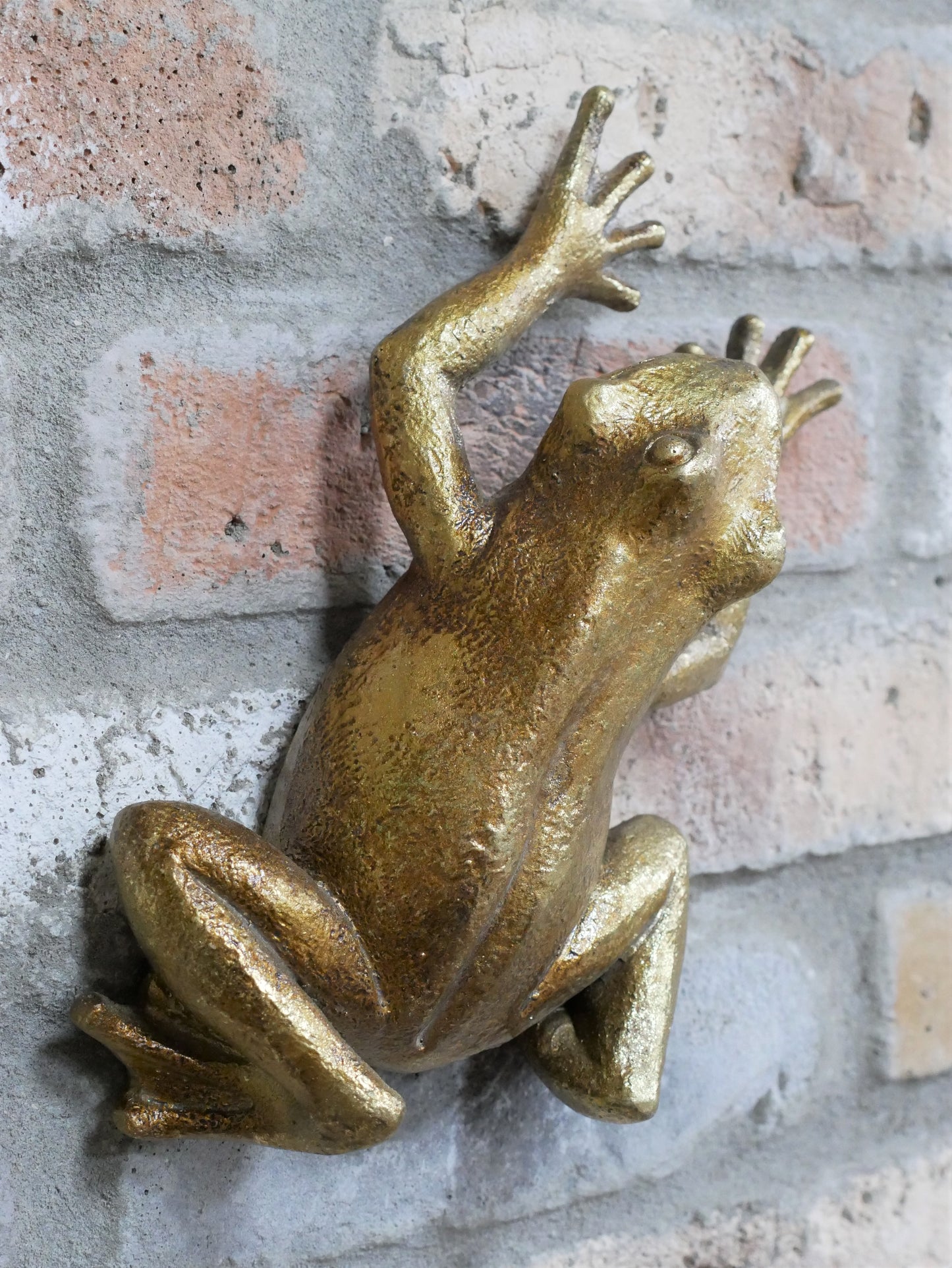 Frog Wall Decoration