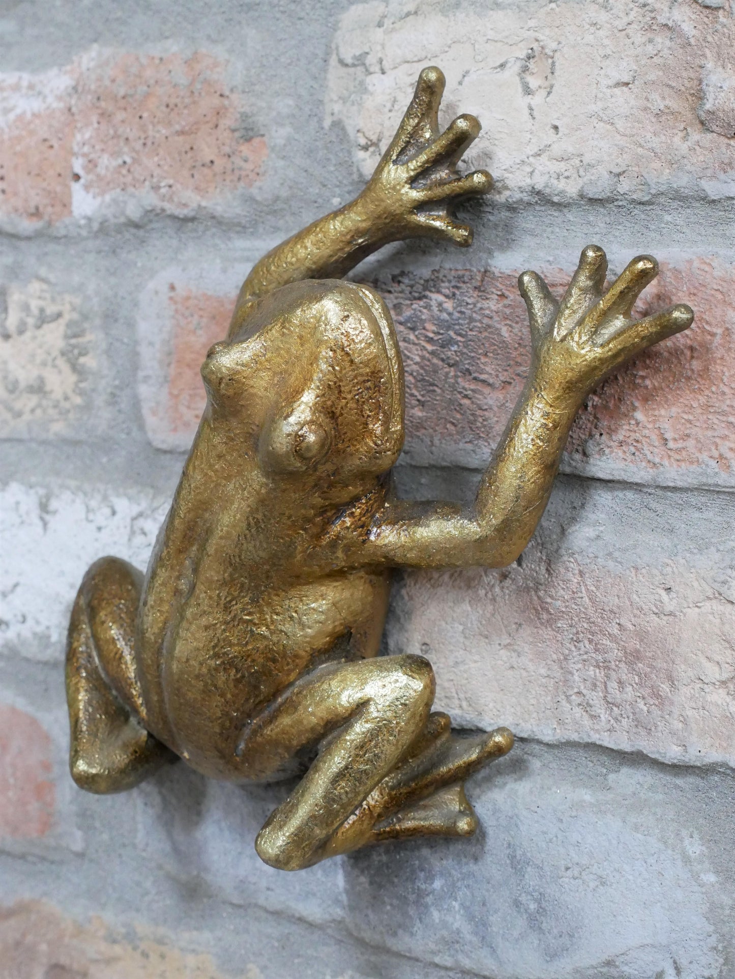 Frog Wall Decoration