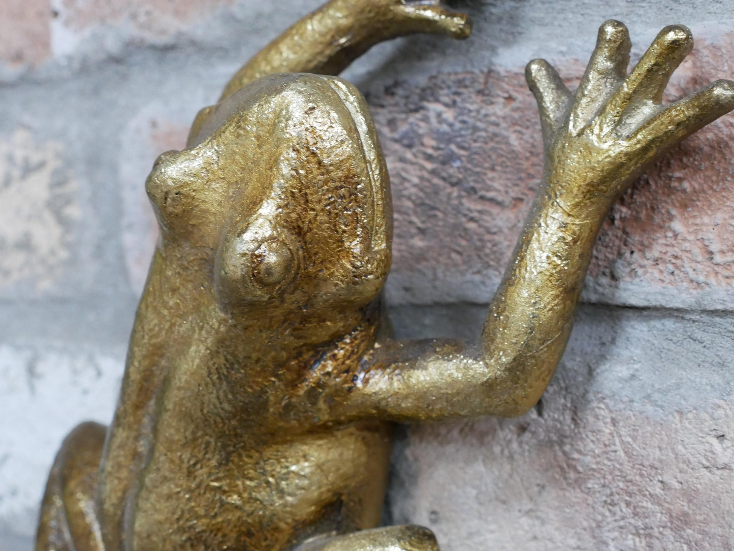 Frog Wall Decoration