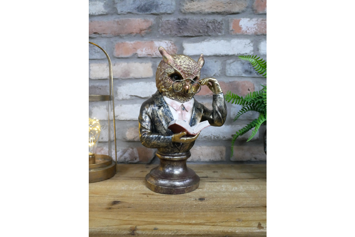 The Traitors Library Owl