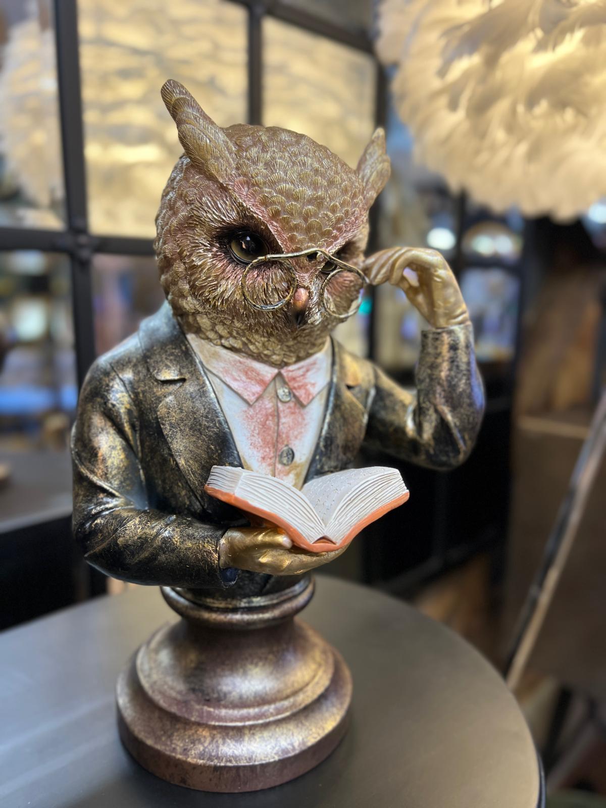 The Traitors Library Owl