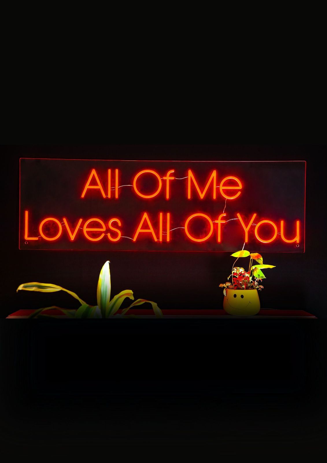 LED Neon Wall Sign- All Of Me Loves All Of You