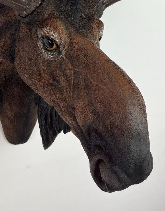Moose Wall Head
