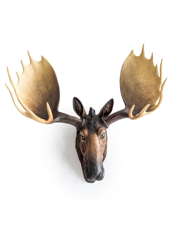 Moose Wall Head