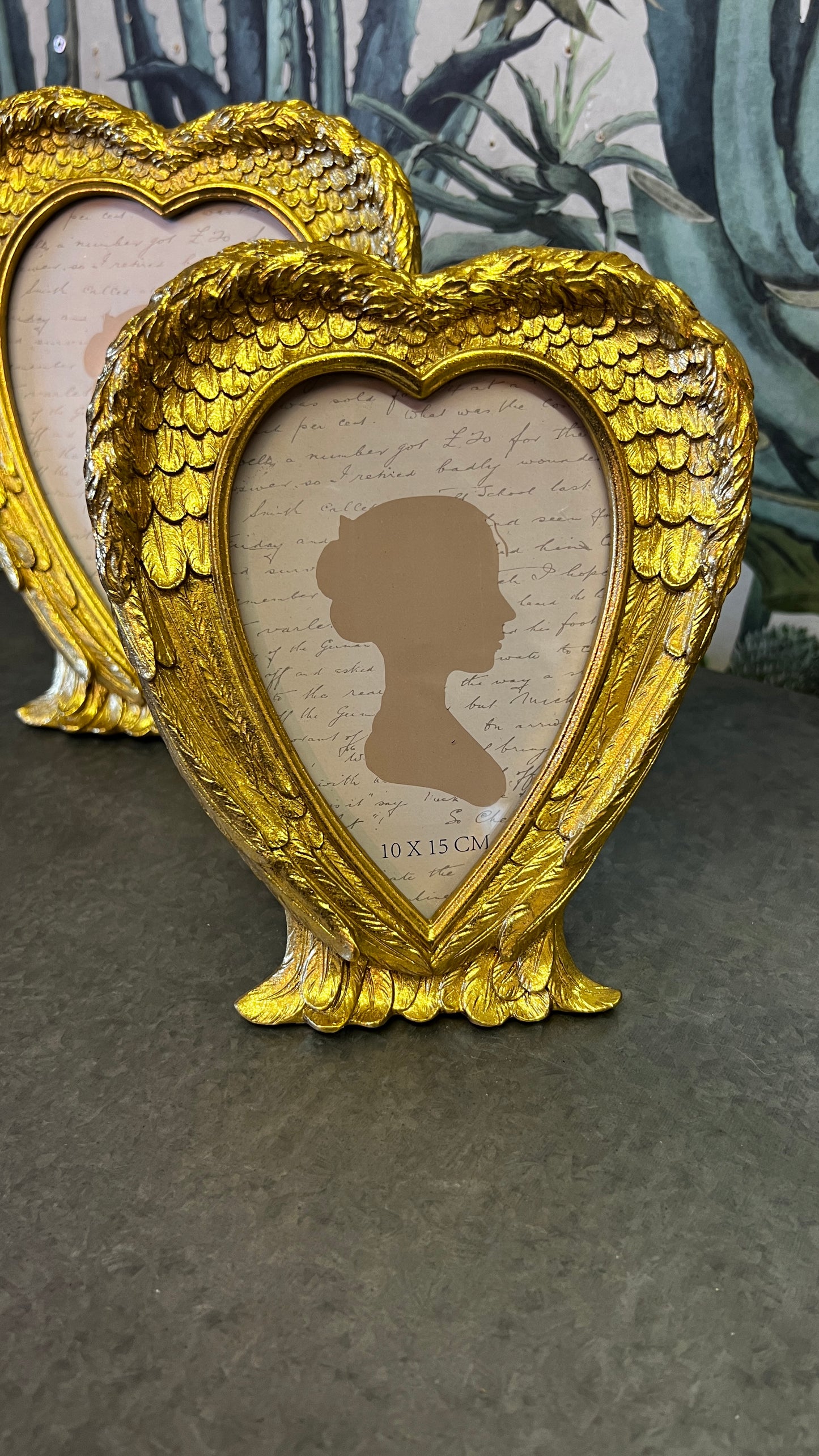 Angel Wing Frame