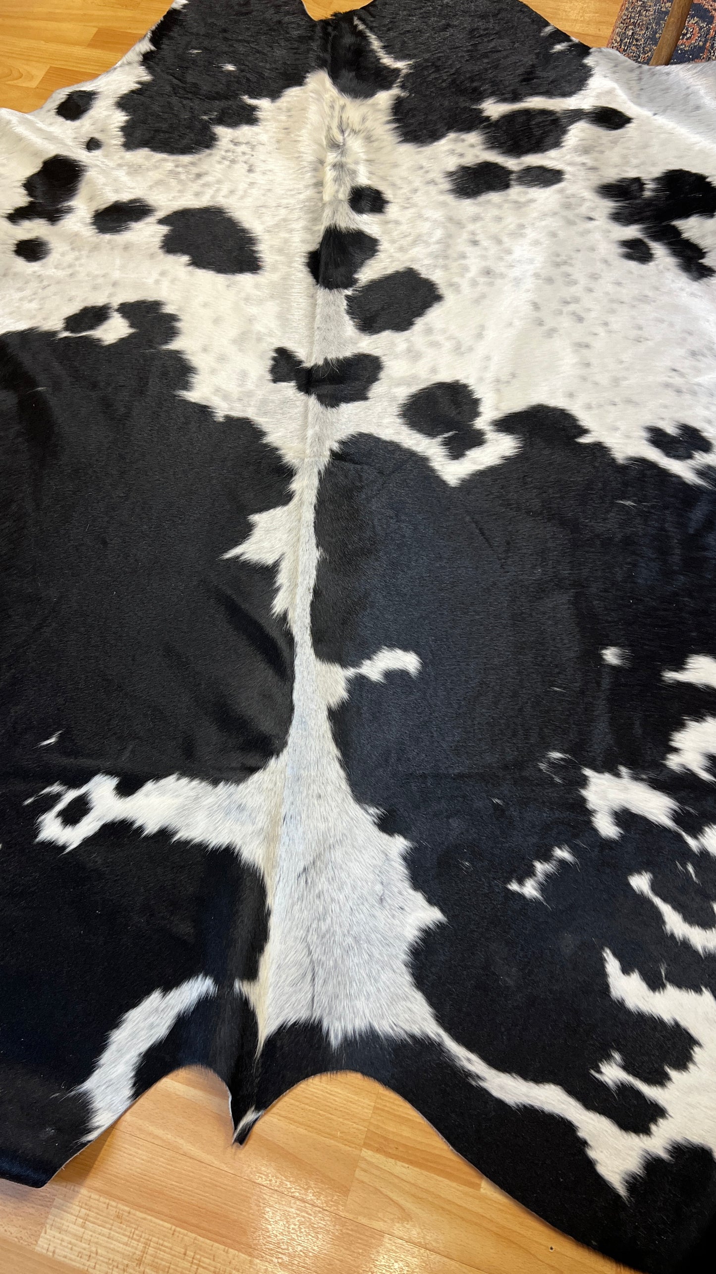 Cowhide Medium Black and White