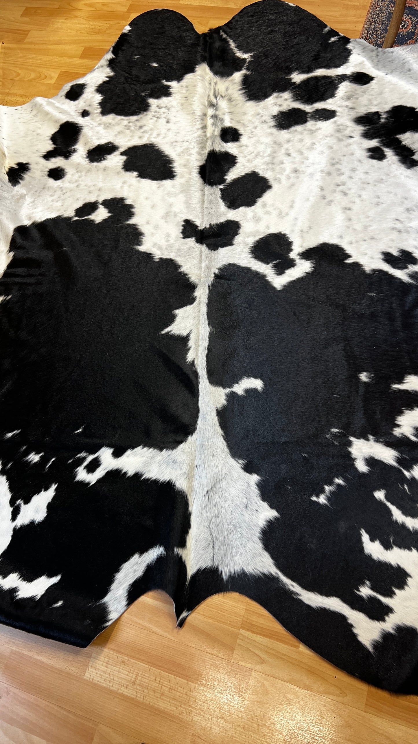 Cowhide Medium Black and White