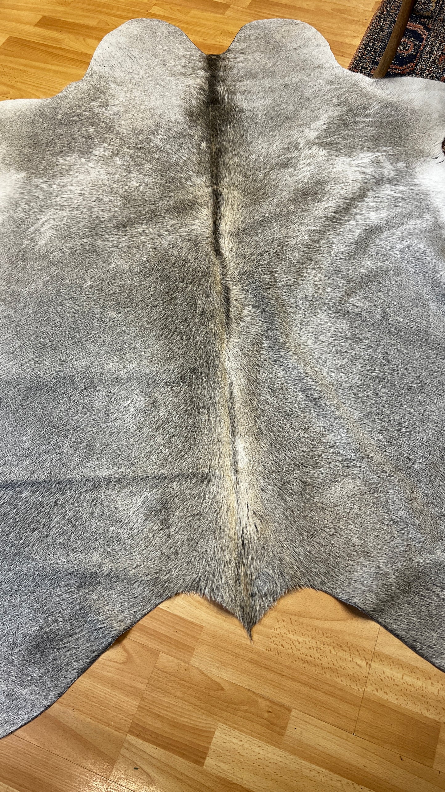 Cowhide Medium Alpen Grey