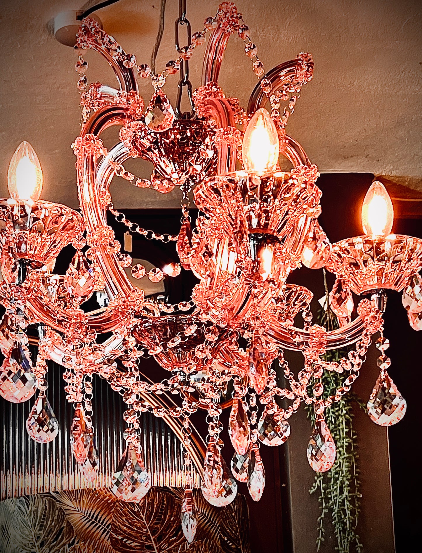 Rose Pink Five Branch Murano Chandelier
