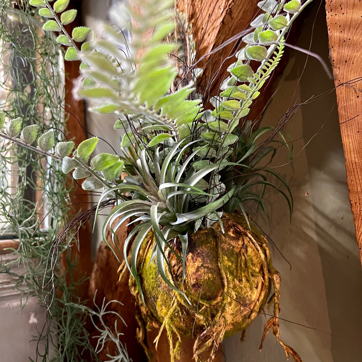 Ornamental Hanging Moss Ball with Ferns