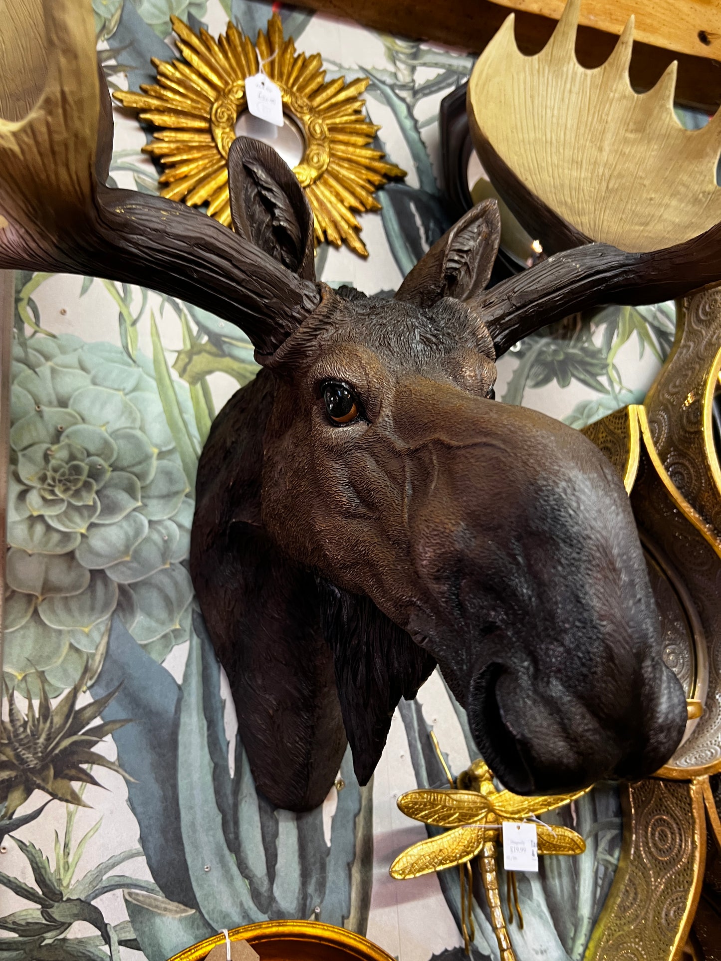 Moose Wall Head