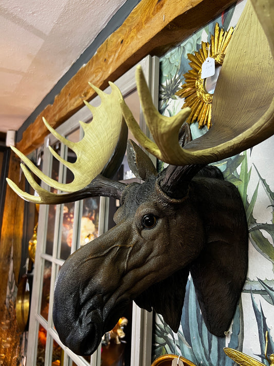 Moose Wall Head