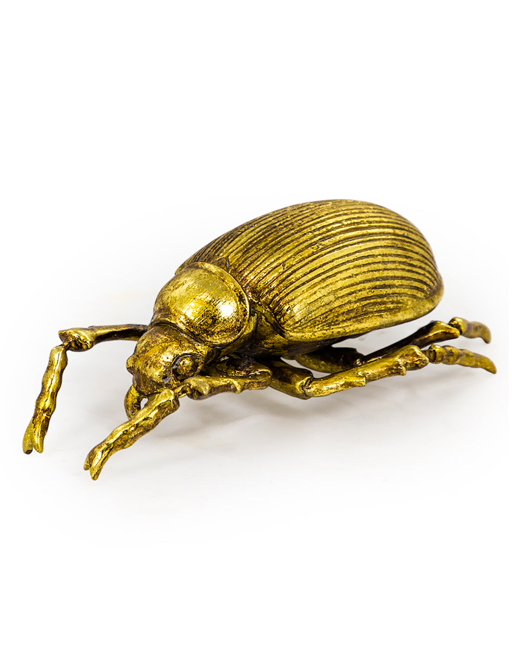 Large Gold Beetle Wall Decor
