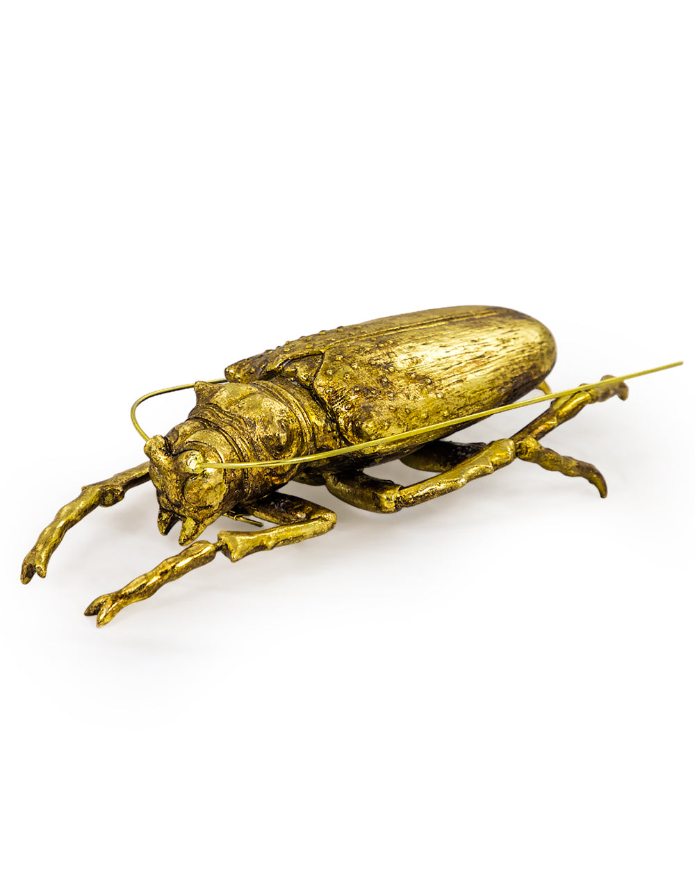 Large Gold Beetle Wall Decor