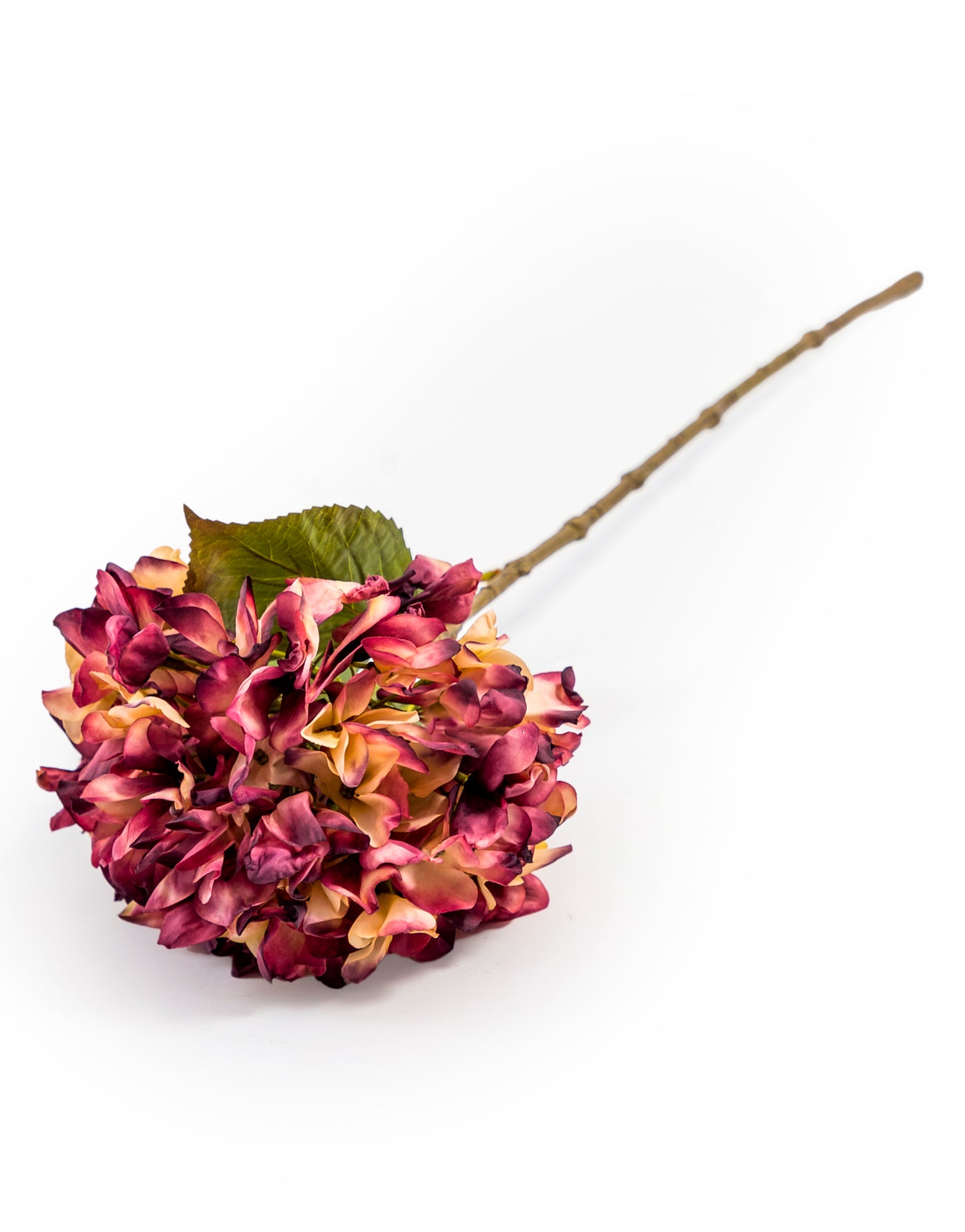 Single Hydrangea Stem - Purple/Cream