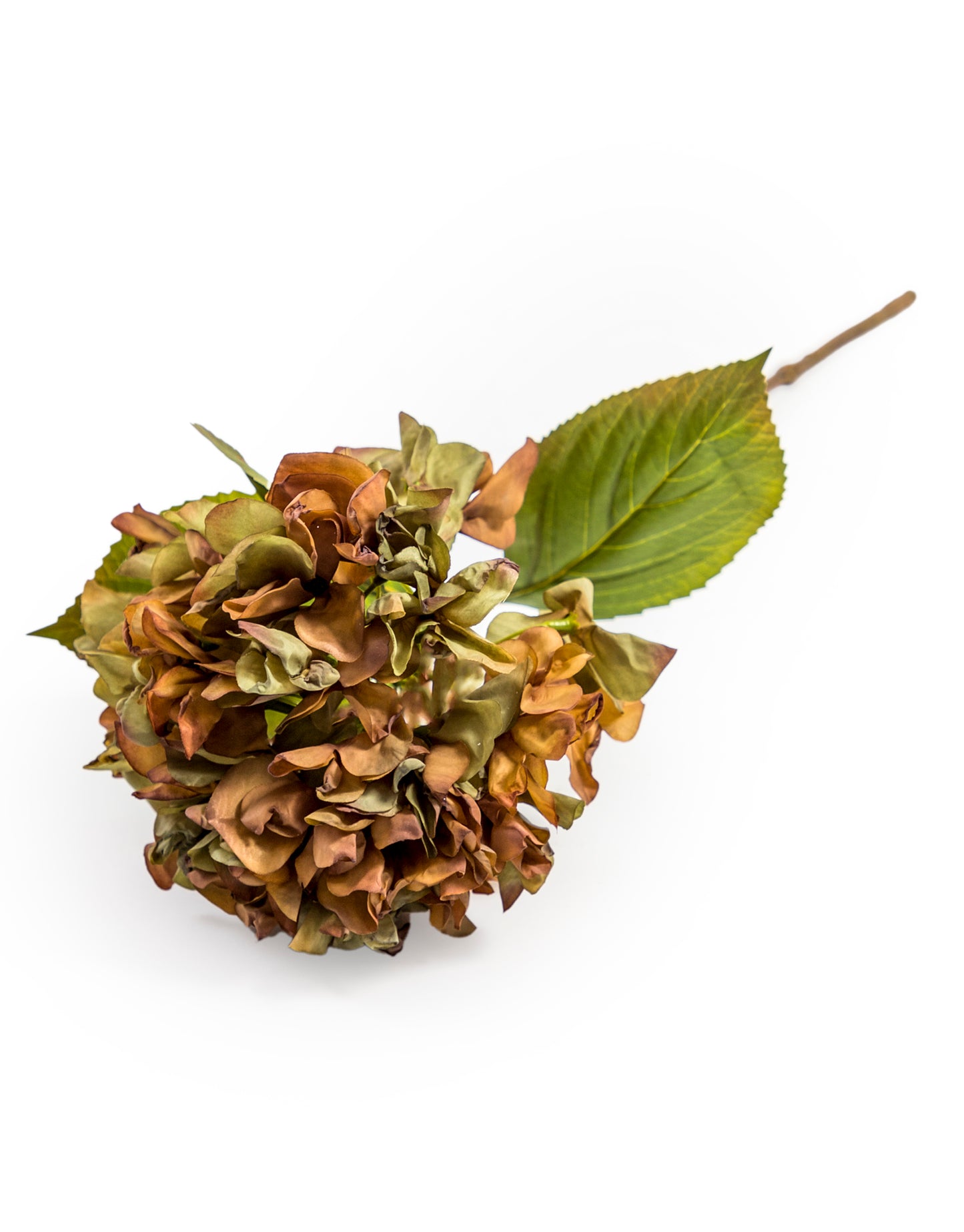 Single Hydrangea Stem - Green/Cream