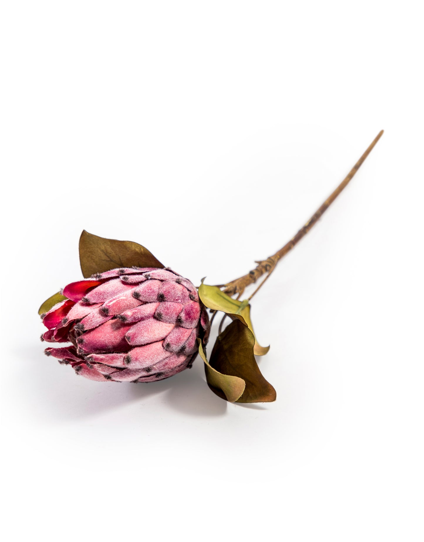 Single Faux Protea Stem