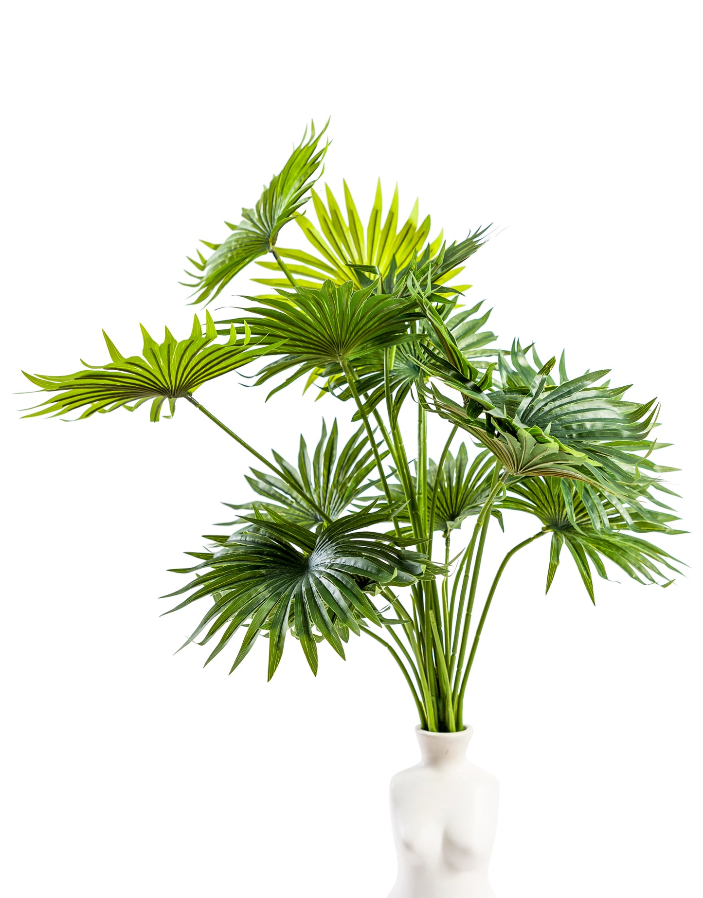 Large Fan Palm Leaf Bunch