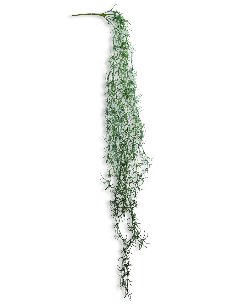 Ornamental Hanging Vine