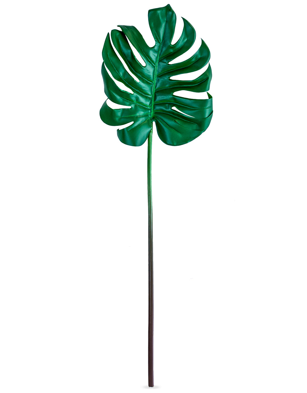 Ornamental Split Philo Leaf Single Stem