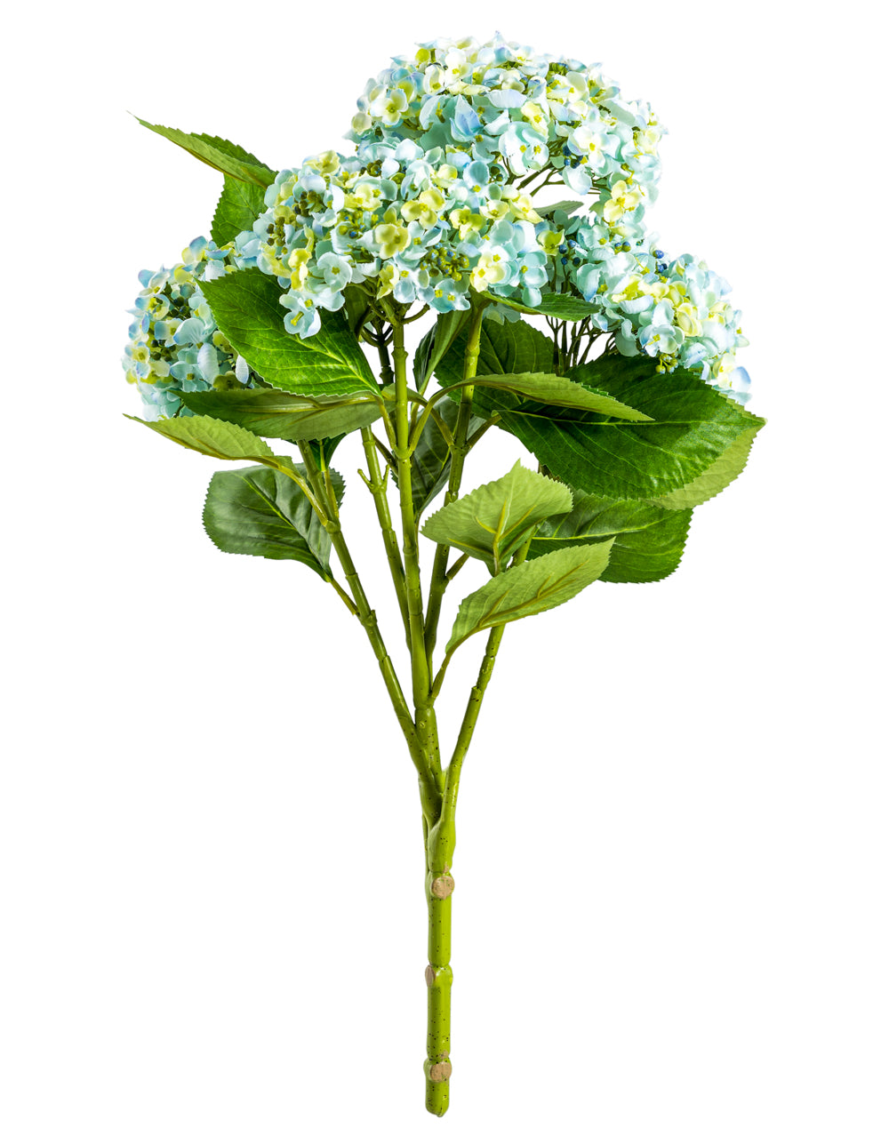 Ornamental Blue Hydrangea 5 Flower Stem