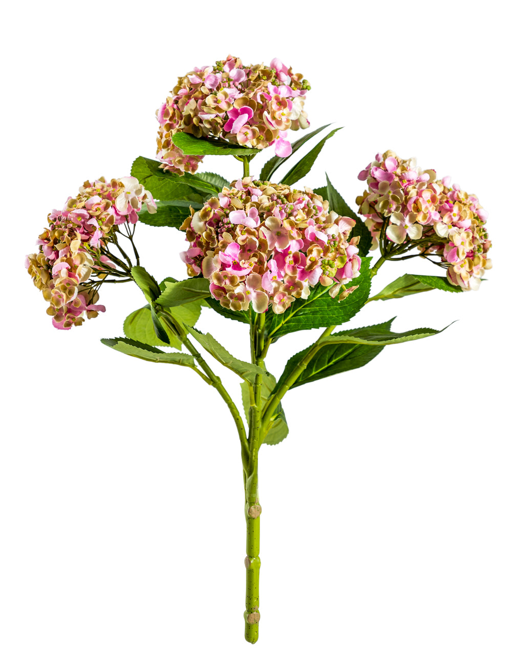 Ornamental Pink Hydrangea 5 Flower Stem