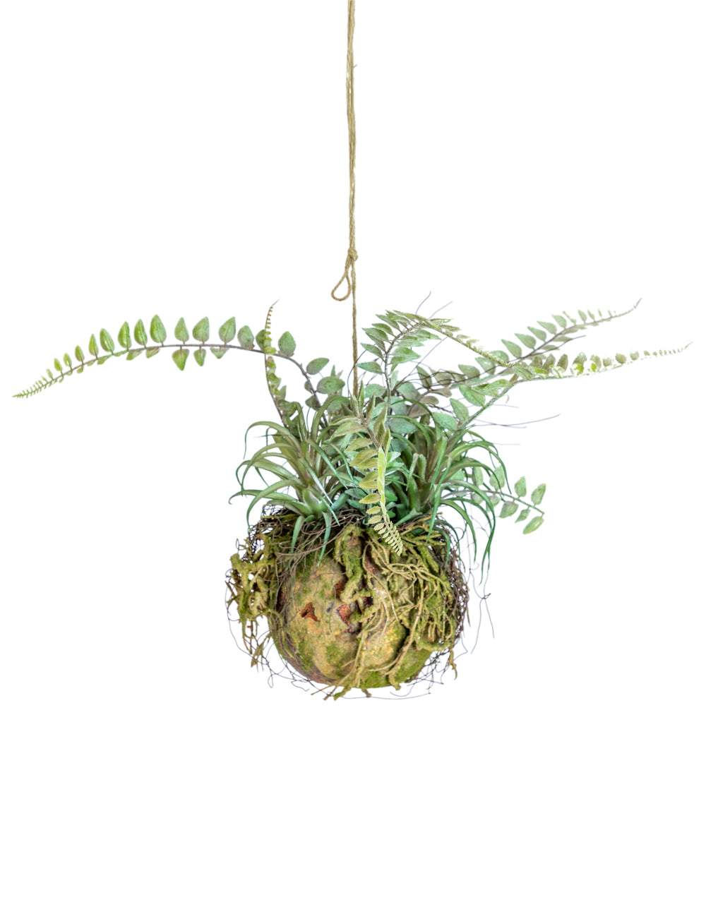 Ornamental Hanging Moss Ball with Ferns
