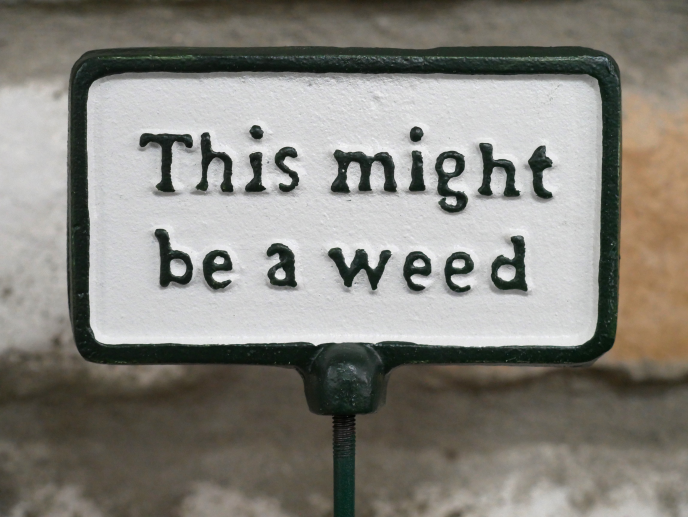 Plant Sign