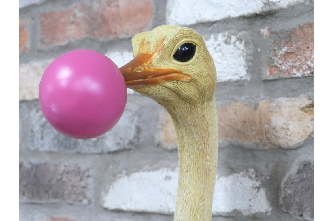 Ostrich wall decoration