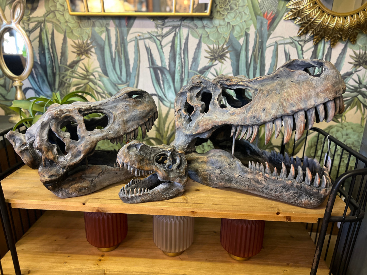 Extra Large T-Rex Skull Wall Head