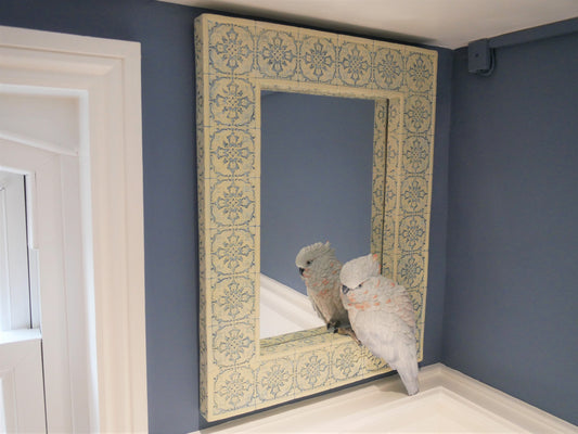 Parrot Mirror