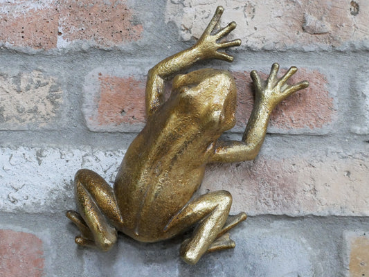 Frog Wall Decoration