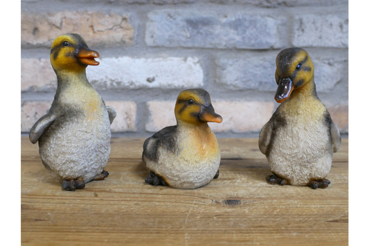 Set of Three Ducks