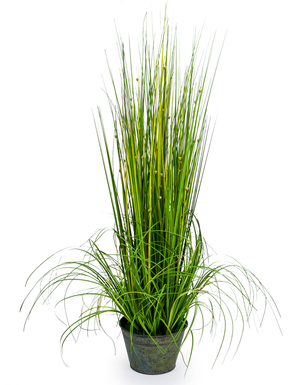 Ornamental Grasses in Galvanised Pot - Style 2