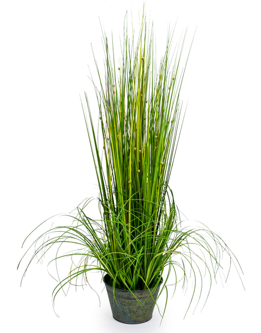 Ornamental Grasses in Galvanised Pot - Style 2