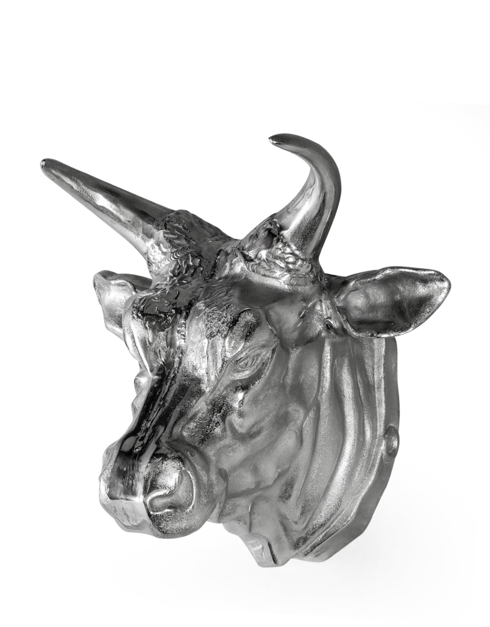 Aluminium Polished Bull Wall Head
