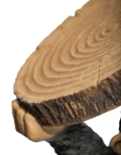 Chimpanzee "Trunk Slice" Side Table