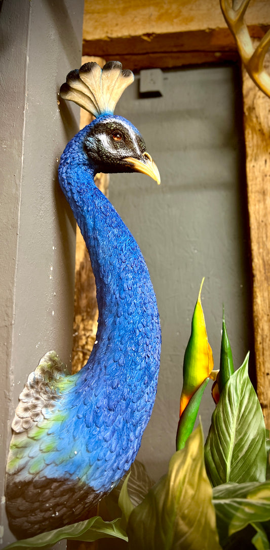 Peacock Head Wall Figure