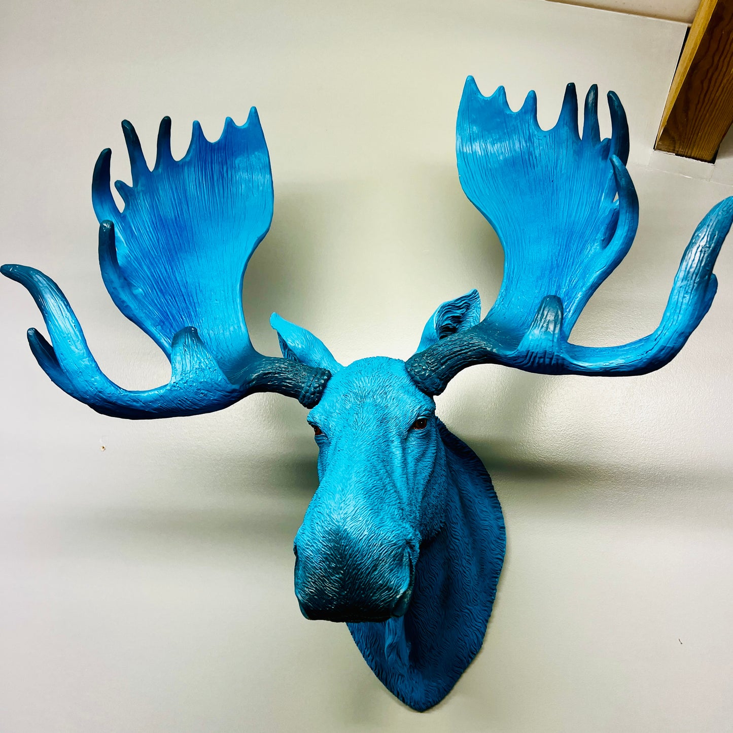 Electric Blue Moose Wall Head