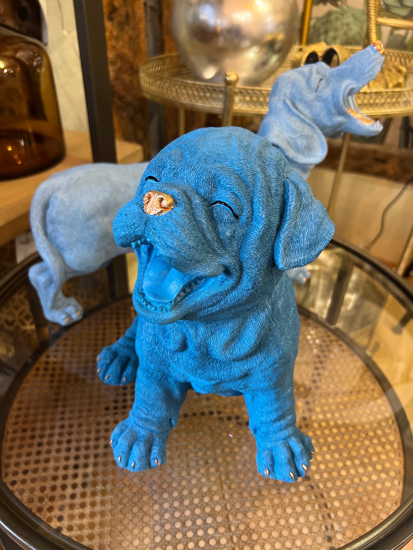 Royal Blue with Gold Details Laughing Puppy