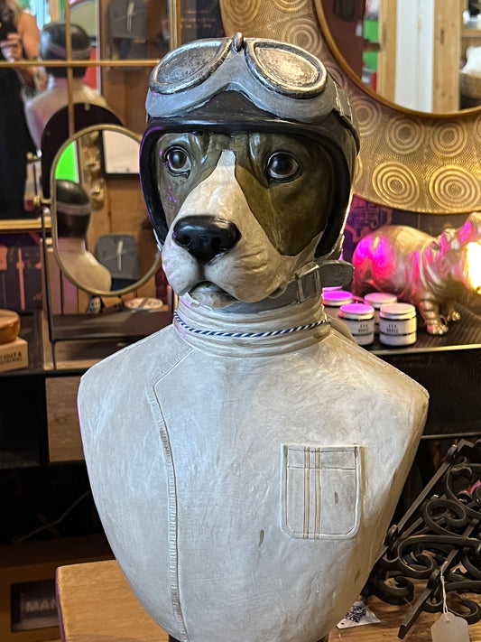 Racing Driver Dog Bust