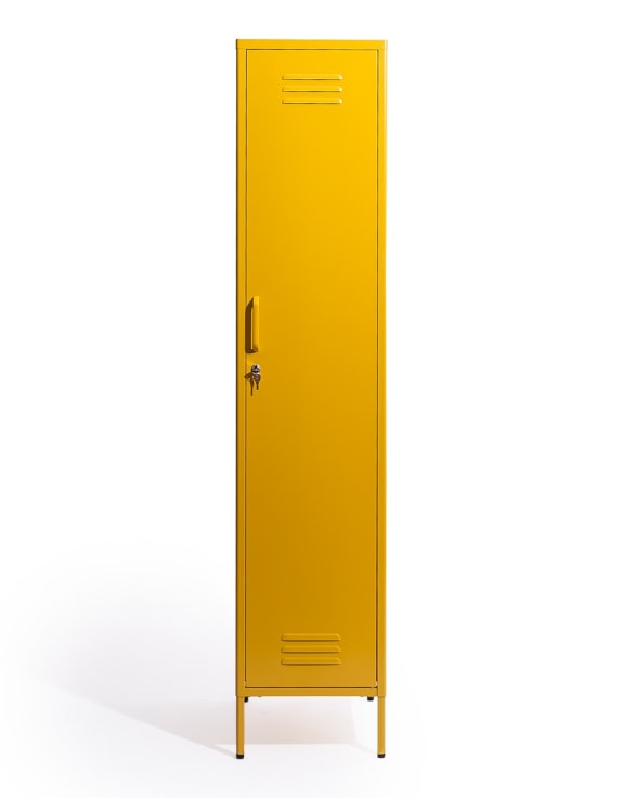 Tall Steel Locker in Painted Colours